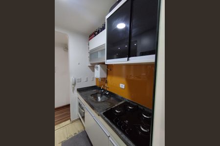 Apartamento à venda com 48m², 2 quartos e 1 vagaCozinha - Armários