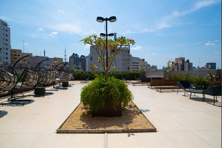 Apartamento para alugar com 33m², 1 quarto e sem vagaÁrea comum - Terraço