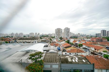 Apartamento para alugar com 67m², 2 quartos e 1 vagaVista da suíte