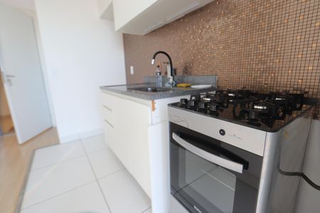 Cozinha de apartamento para alugar com 2 quartos, 44m² em Vila Prudente, São Paulo