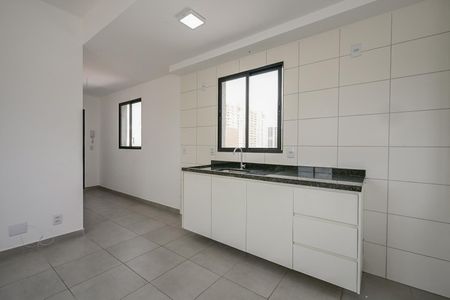 Apartamento para alugar com 39m², 1 quarto e sem vagaCozinha