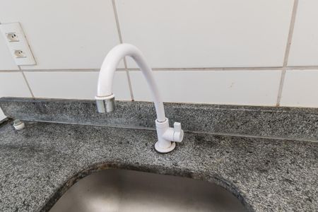 Apartamento para alugar com 47m², 2 quartos e 1 vagaCozinha - Torneira