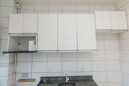 Apartamento para alugar com 47m², 2 quartos e 1 vagaCozinha - Armários