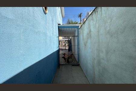 Casa para alugar com 150m², 3 quartos e 3 vagasQuintal