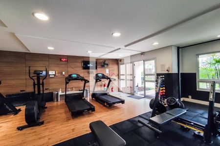 Apartamento para alugar com 96m², 3 quartos e 2 vagas Apartamento para alugar com 96m², 3 quartos e 2 vagasÁrea comum - Academia