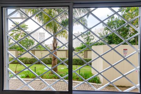 Sala - Janela de apartamento para alugar com 1 quarto, 38m² em Jardim Íris, São Paulo