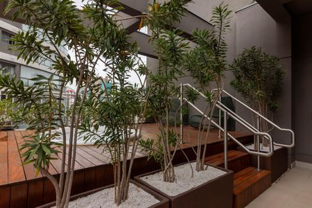 Apartamento para alugar com 30m², 1 quarto e sem vagaÁrea comum