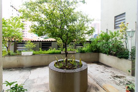 Vista de apartamento para alugar com 2 quartos, 57m² em Água Branca, São Paulo