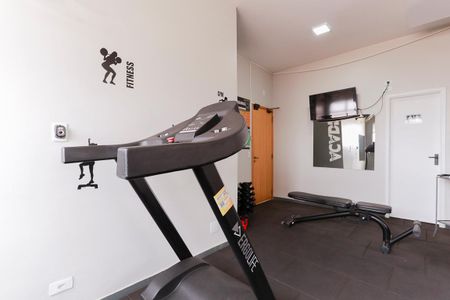 Área comum - Academia de apartamento para alugar com 2 quartos, 55m² em Parada Inglesa, São Paulo