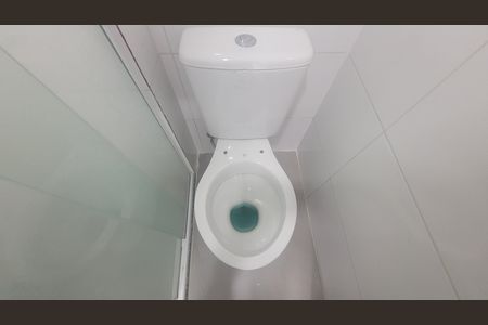 Banheiro de apartamento para alugar com 1 quarto, 33m² em Quinta da Paineira, São Paulo