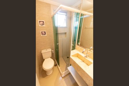 Banheiro social de apartamento para alugar com 2 quartos, 56m² em Jardim Myrian Moreira da Costa, Campinas