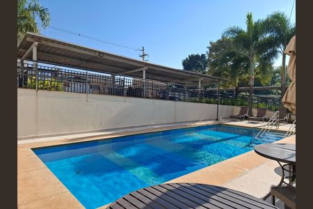 Piscina  de apartamento para alugar com 2 quartos, 47m² em Campos Elíseos, Ribeirão Preto