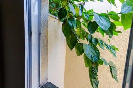 Apartamento para alugar com 56m², 2 quartos e 1 vagaVista do Quarto 1