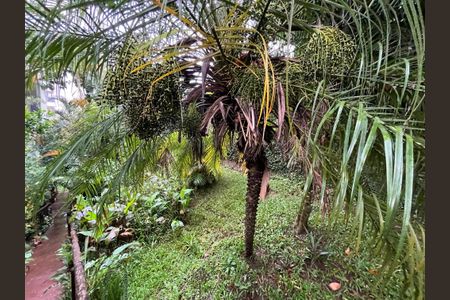 Casa à venda com 350m², 3 quartos e 6 vagas Casa à venda com 350m², 3 quartos e 6 vagasQuintal/Jardim