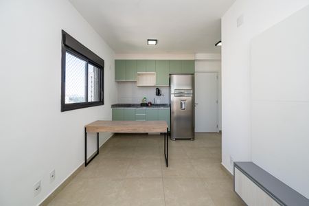 Studio de kitnet/studio para alugar com 1 quarto, 29m² em Vila Santa Catarina, São Paulo