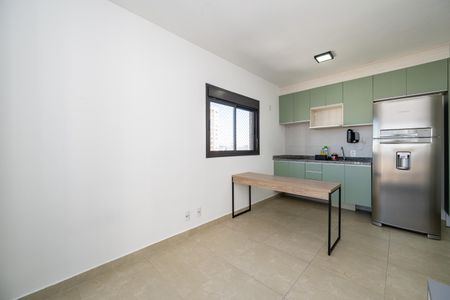 Studio de kitnet/studio para alugar com 1 quarto, 29m² em Vila Santa Catarina, São Paulo