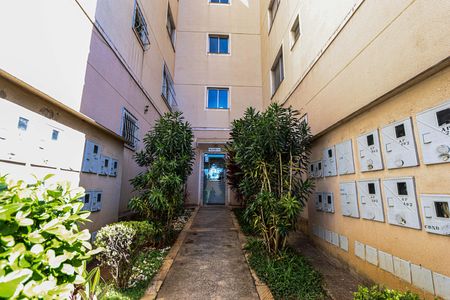 Fachada do bloco de apartamento à venda com 2 quartos, 85m² em Padre Eustáquio, Belo Horizonte