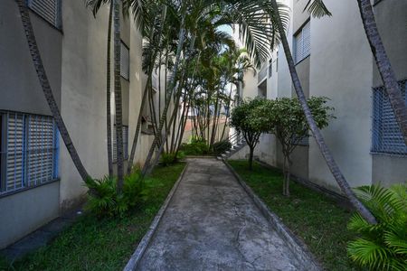 Apartamento para alugar com 59m², 2 quartos e 1 vagaJardim