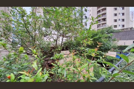 Apartamento para alugar com 56m², 2 quartos e 1 vagaÁrea comum