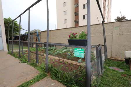 Apartamento para alugar com 42m², 2 quartos e 1 vagaÁrea Comum - Horta