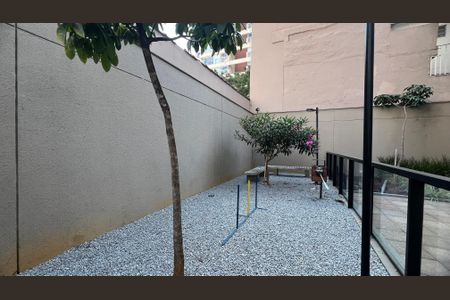 Apartamento para alugar com 30m², 1 quarto e sem vagaPetplace 