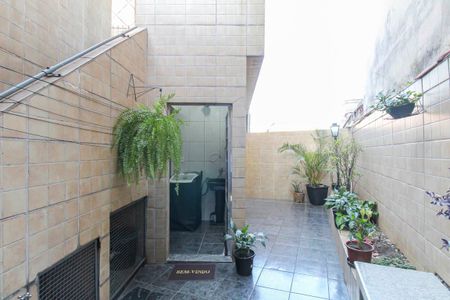 Casa para alugar com 30m², 1 quarto e sem vaga Casa para alugar com 30m², 1 quarto e sem vagaQuintal