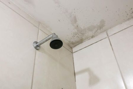 Banheiro de apartamento para alugar com 2 quartos, 47m² em Del Castilho, Rio de Janeiro