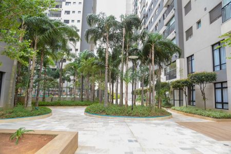 Apartamento para alugar com 41m², 1 quarto e 1 vagaÁrea comum