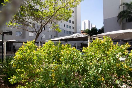 Vista - Sala de apartamento para alugar com 1 quarto, 38m² em Gopouva, Guarulhos