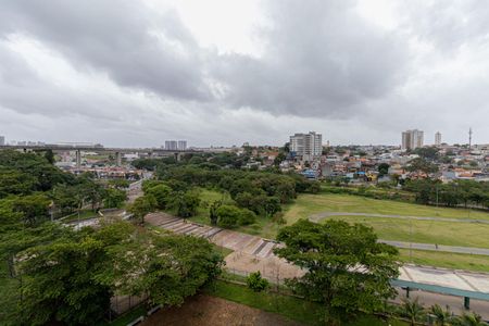 Apartamento para alugar com 55m², 2 quartos e 1 vaga Apartamento para alugar com 55m², 2 quartos e 1 vagaVista Suíte