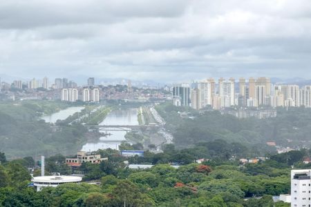 Vista de apartamento para alugar com 1 quarto, 27m² em Pinheiros, São Paulo