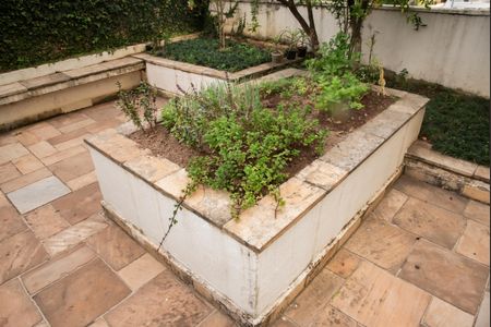 Apartamento para alugar com 58m², 2 quartos e 1 vagaÁrea comum - Horta comunitária