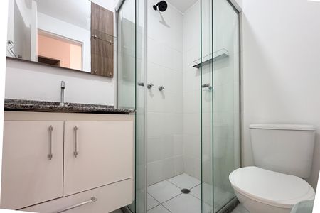 Banheiro Social de apartamento para alugar com 2 quartos, 48m² em Planalto, São Bernardo do Campo