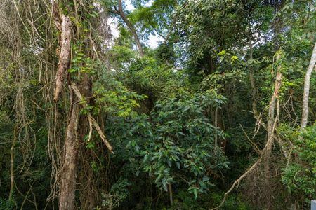 Vista do Quarto 1 de casa de condomínio para alugar com 2 quartos, 49m² em Bairro Jardim Nossa Senhora das Graças, Cotia