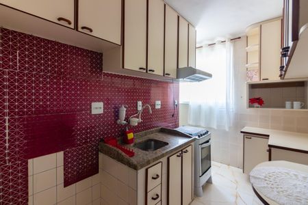 Apartamento para alugar com 45m², 2 quartos e 1 vagaCozinha 