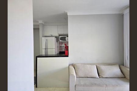 Sala  de apartamento para alugar com 2 quartos, 42m² em Vila São João, Guarulhos