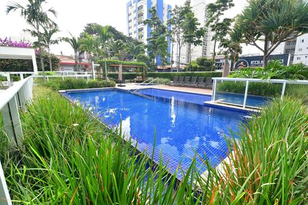 Área comum - Piscina de apartamento para alugar com 2 quartos, 96m² em Vila Itapura, Campinas