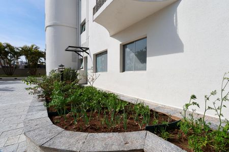 Apartamento à venda com 122m², 4 quartos e 2 vagasÁrea comum - Horta comunitária
