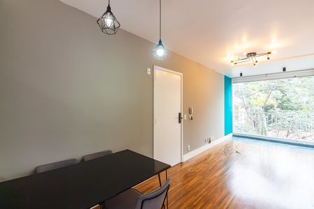 Sala  de apartamento para alugar com 2 quartos, 55m² em Vila São Francisco, São Paulo