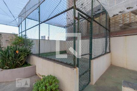 Quadra Esportiva de apartamento para alugar com 2 quartos, 59m² em Vila Osasco, Osasco