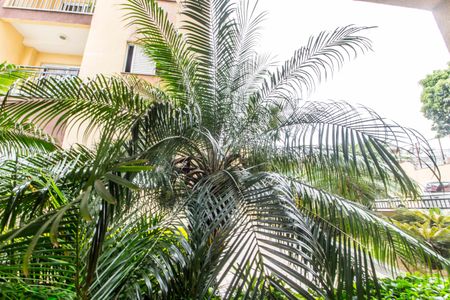 Vista da Varanda de apartamento para alugar com 2 quartos, 67m² em Jardim Audir, Barueri