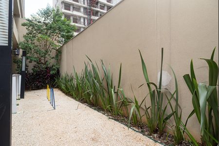 Apartamento para alugar com 32m², 1 quarto e sem vaga Apartamento para alugar com 32m², 1 quarto e sem vagaÁrea comum - Espaço PET