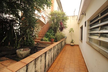 Quintal de casa à venda com 3 quartos, 126m² em Vila São José, São Paulo