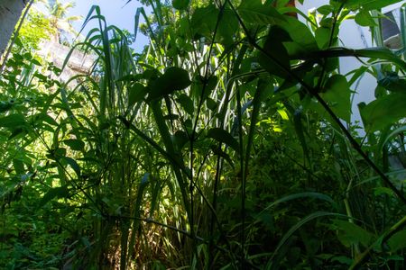 Casa à venda com 164m², 3 quartos e sem vagaVista do Quarto 2