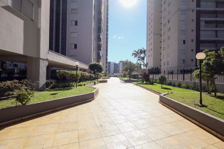 Apartamento para alugar com 74m², 3 quartos e 2 vagasÁrea comum 