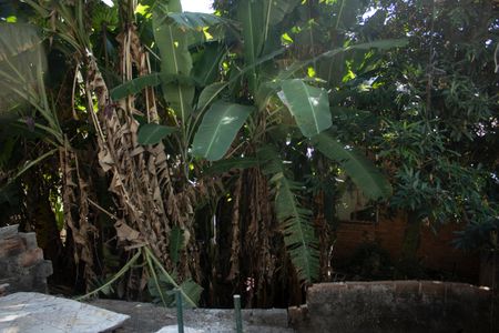 Casa à venda com 109m², 3 quartos e 3 vagasQuintal