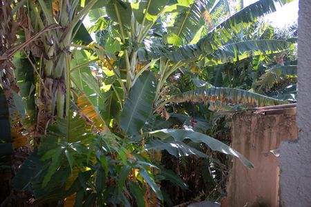 Casa à venda com 109m², 3 quartos e 3 vagasQuintal