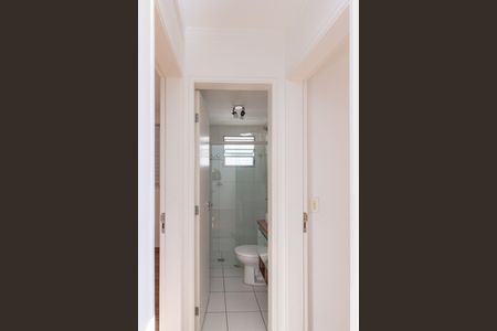 Sala Corredor de apartamento para alugar com 2 quartos, 45m² em Jaraguá, São Paulo