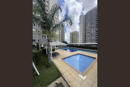 Apartamento à venda com 67m², 3 quartos e 1 vaga Apartamento à venda com 67m², 3 quartos e 1 vagaPiscina