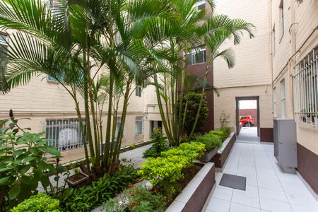 Apartamento para alugar com 57m², 3 quartos e 1 vagaÁrea comum 